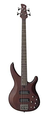 10 Best Electric Bass Guitars