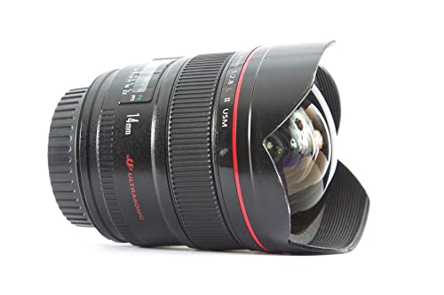 Canon EF 14mm /8L II