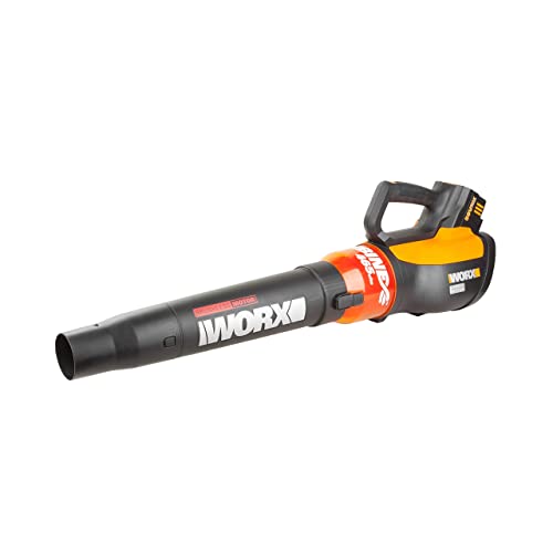 Worx WG591