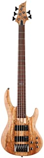 ESP LTD Series B-50