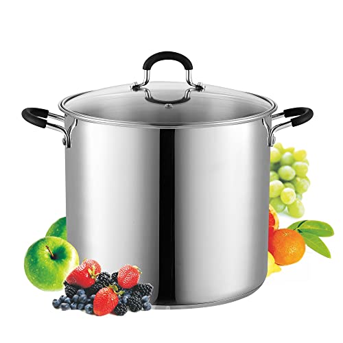 10 Best Stockpots