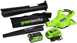 GreenWorks DigiPro 24322