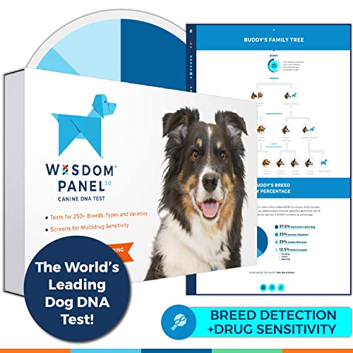 7 Best Dog Dna Tests