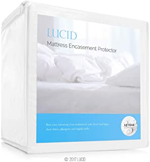 Lucid Encasement