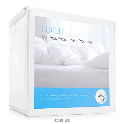 Lucid Encasement