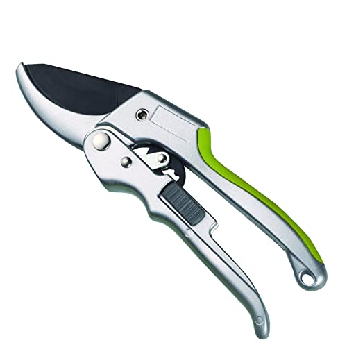 10 Best Pruning Shears