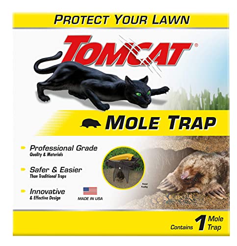 8 Best Mole Traps