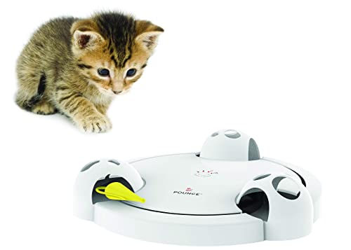 PetSafe Pounce