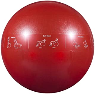 Professional Stability Ball by GoFit