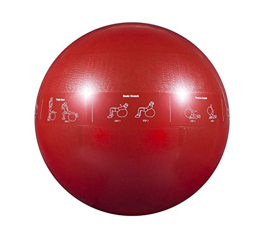 Professional Stability Ball by GoFit