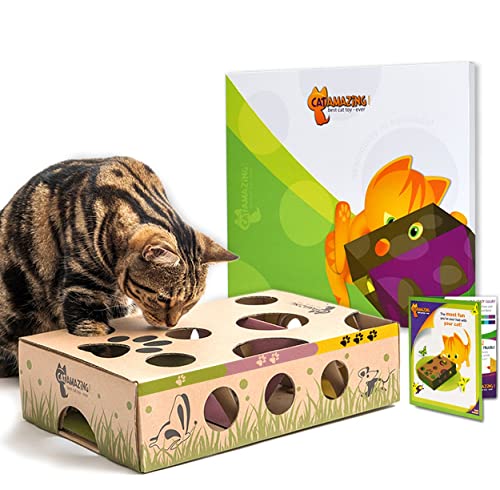 Cat Amazing Puzzle Feeder