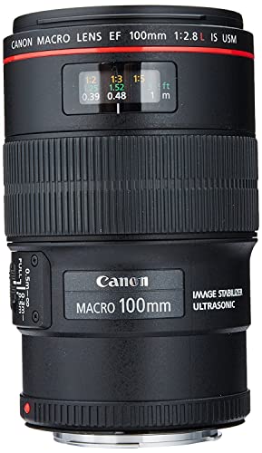 7 Best Canon Lenses For Video