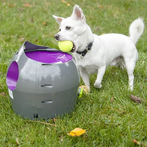 PetSafe Fetch System