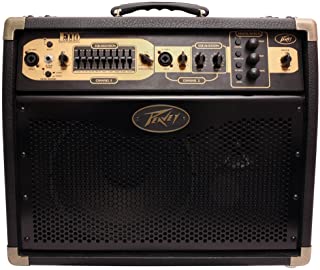 Peavey Ecoustic E110