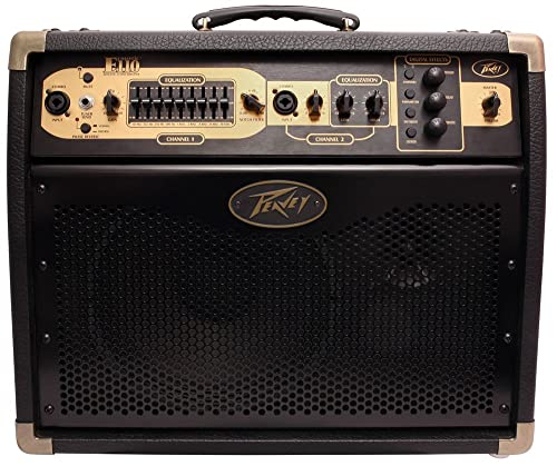 Peavey Ecoustic E110