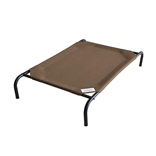 10 Best Outdoor Dog Beds