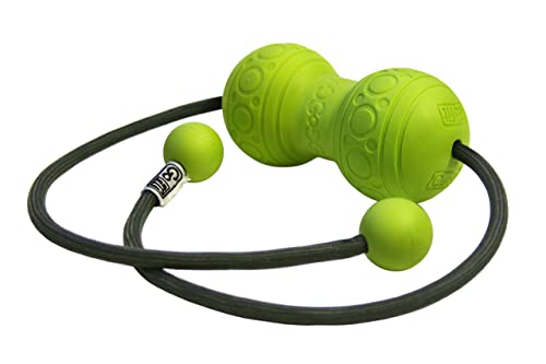 GoFit Ballx2