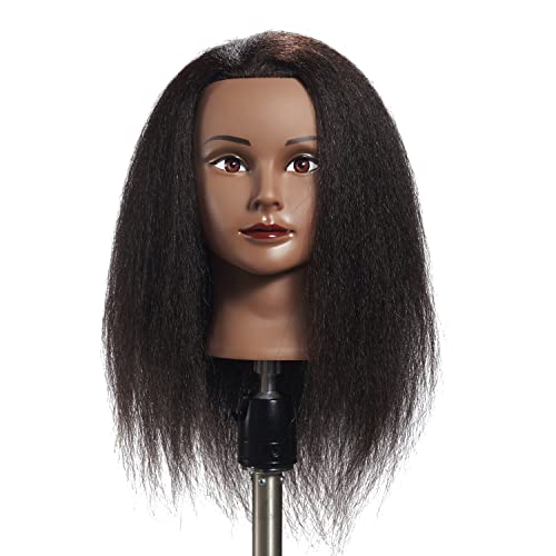 9 Best Mannequin Heads With Hair