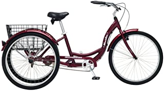 Schwinn Meridian