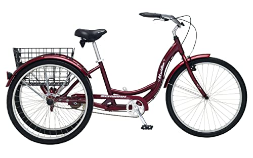 9 Best Adult Tricycles