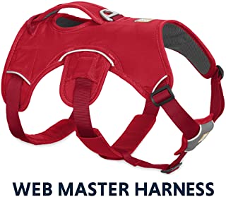 Ruffwear Web Master