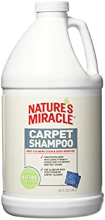 Nature's Miracle Stain & Odor