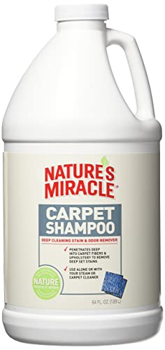 10 Best Carpet Shampoos