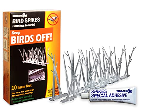 10 Best Bird Repellents