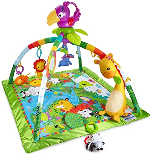 Fisher-Price Rainforest Gym