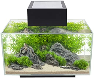 Fluval Edge