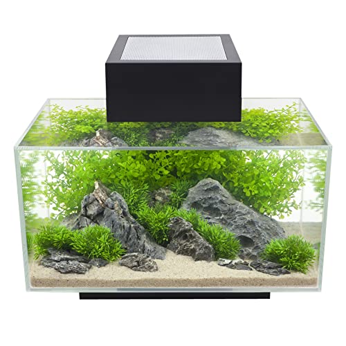 Fluval Edge