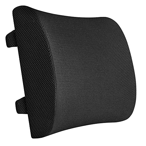 9 Best Lumbar Supports