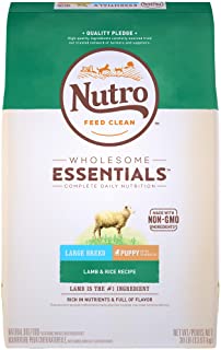 Nutro Wholesome Essentials