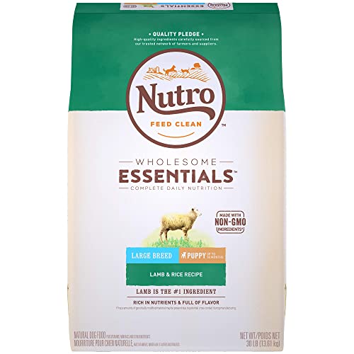 Nutro Wholesome Essentials