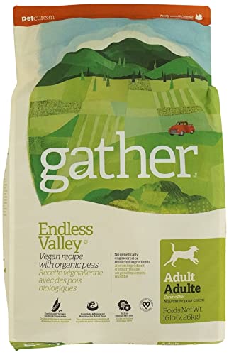 Gather Endless Valley