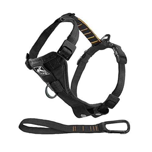 10 Best Dog Harnesses