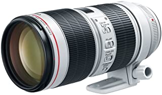 EF 70-200mm f/8 L III