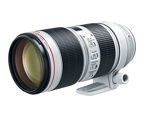 EF 70-200mm f/8 L III