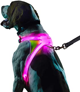 Noxgear LightHound