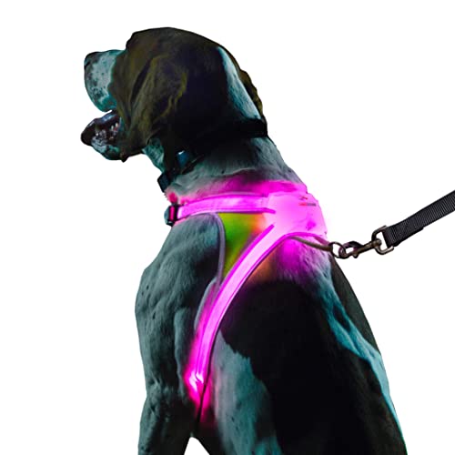 7 Best Led Dog Vests