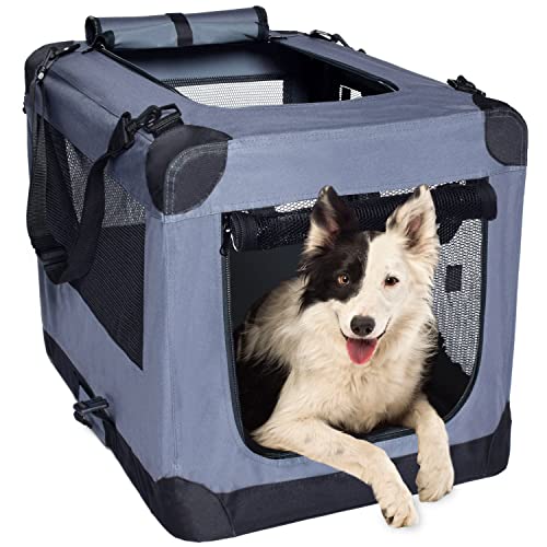 Arf Pets Kennel