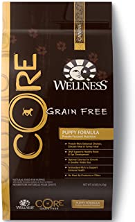 Wellness Core Natural