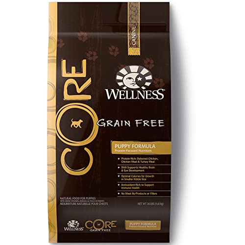 Wellness Core Natural