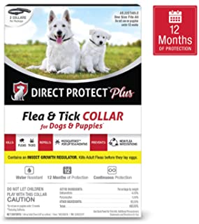 Direct Protect Plus