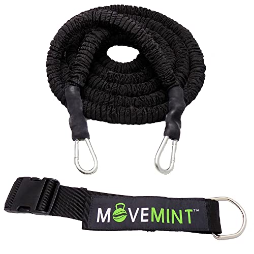 Movemint Band Trainer