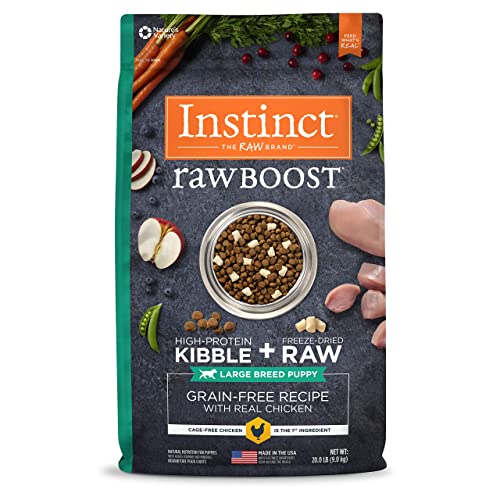 Instinct Raw Boost