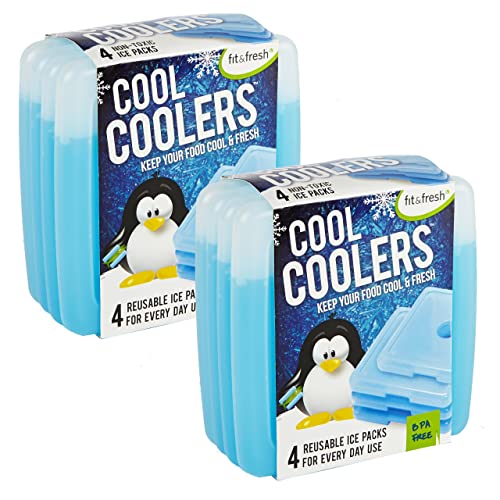 10 Best Ice Packs For Coolers