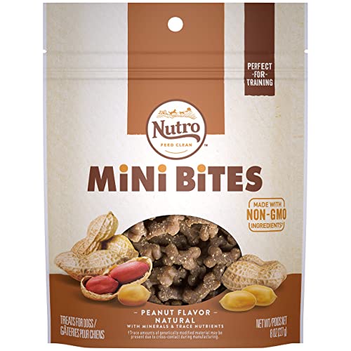 Nutro Mini Bites