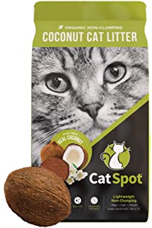 CatSpot Coconut