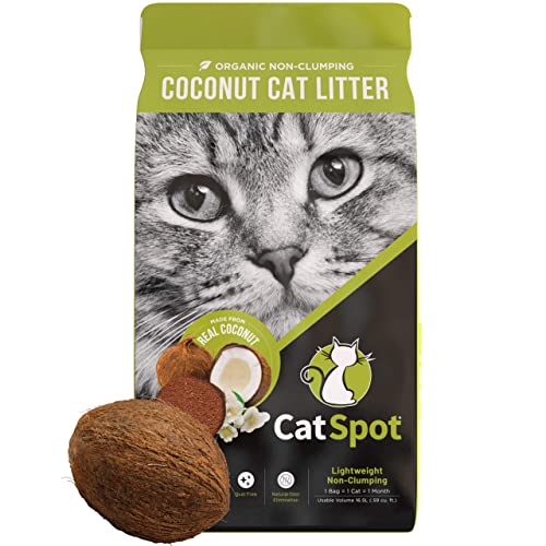 CatSpot Coconut